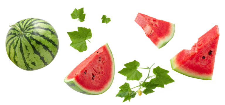 Slice of watermelon isolated on transparent background. PNG - Powered by Adobe