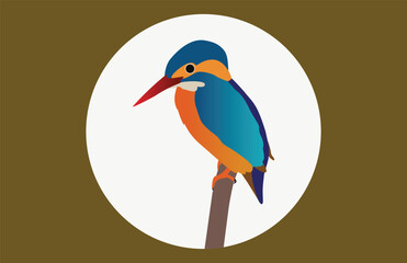 kingfisher on branch