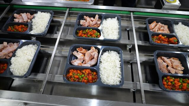 Prepared meals on automatic conveyor belt, packaging pre-made lunches