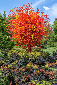 St. Louis, Missouri - April 28, 2023: Artist Dale Chihuly's latest exhibition installation, Chihuly in the Garden 2023, at the Missouri Botanical Garden