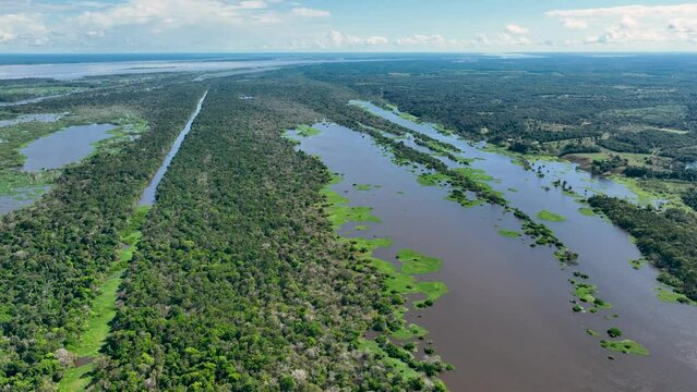 Amazon Forest At Manaus Amazonas Brazil. Forest Landscape Rural Scene. Wildlife River Eco Stunning. Wildlife Jungle Eco Bay Travel. Wildlife Stunning Day Natural. Manaus Amazonas.