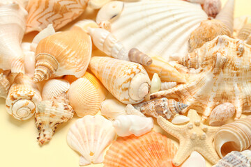 Different sea shells on beige background, closeup