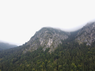 Panoramic view of mountains, with forest and foggy nature.trees on a rock.