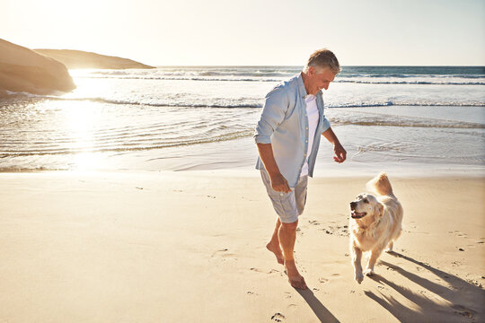 Dogs love the beach and whats not to love. a mature man taking his dog for a walk on the beach.