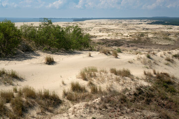 View of Staroderevenskaya dune from the height of Efa (Walnut Dune) and the Baltic Sea in the background on a sunny summer day, Curonian Spit, Kaliningrad region, Russia
