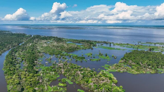 Amazonian Rainforest At Manaus Amazonas Brazil. Riverside Riverfront. Amazon Sky Forest Green. Forest Outdoor Forest Background Famous. Forest Green Summer Rainforest. Manaus Amazonas.