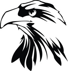 bald eagle head