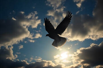 Fototapeta na wymiar Silhouette of Dove Pigeon Animal Wildlife Dancing Across the Sky Symbol of Peace and Holy