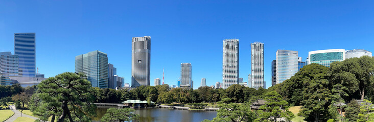 Fototapeta premium 浜離宮からの都市景観