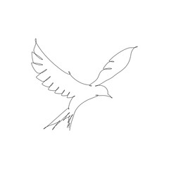 Continuous one line drawing of eagle or hawk bird vector  Illustration minimalism birds flying on the sky. Concept of freedom animal hand drawn sketch design. Simplicity style.