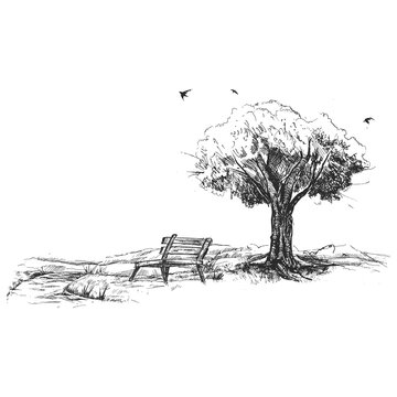 transparent sketch Illustration of a park with a tree and bench  