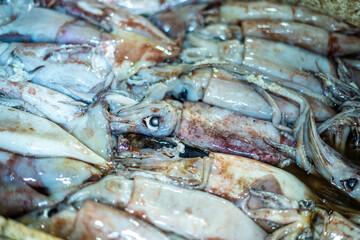 Fresh sea fish for sale in Indonesian traditional market. Ujung genteng beach, Sukabumi, Indonesia
