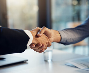 Double up on manpower to make it happen. two businessmen shaking hands during a meeting in a modern...