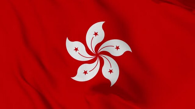 Hong Kong Flag Waving Looped