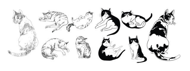 Set of cut cat character icon hand drawing vector illustration. Isolated on white background.