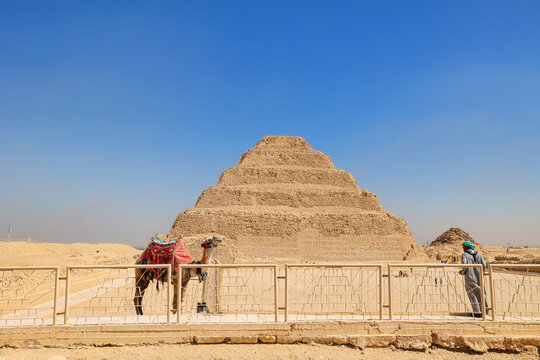 Step Pyramid of Saqqara, the oldest surviving large stone building in the world, with a camel in Giza, Egypt. Pharaoh Djoser circa 2650 BC.