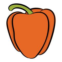 Pepper, bell pepper or capsicum 