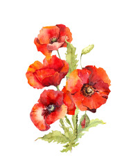 Red poppy flowers bouquet,. Watercolor botanical illustration