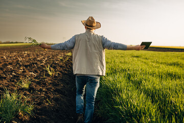 Farmers enjoys a walk trough his farmland