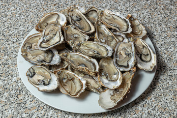 Oysters on a dish ready for consumption.