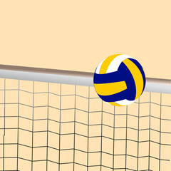 volleyball net
