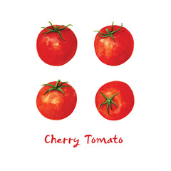 Fototapeta na wymiar Cherry Tomato Watercolor Illustration