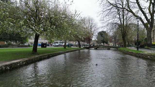 Low drone shot, Blossom trees in spring on river Windrush Bourton on the Water Cotswold village England