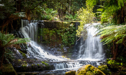 Fototapeta na wymiar Horseshoe Falls in Tasmania, Australia