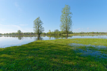 Beautiful landscape around the bird observatory