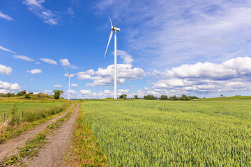 Dirt road to wind turbines on a field with crops