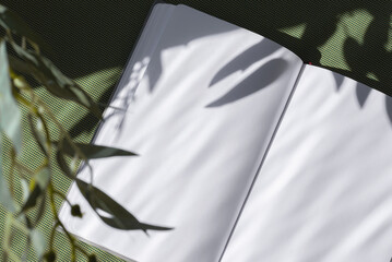 Spring summer writer blog, business brand template, open notebook with empty sheet mock up on green...