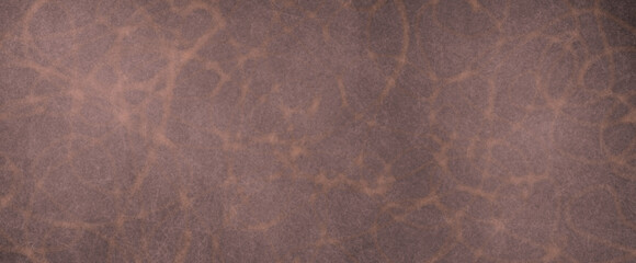 和紙　テクスチャ