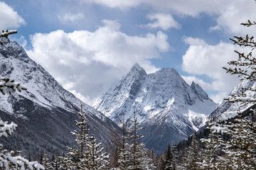 snow covered mountains