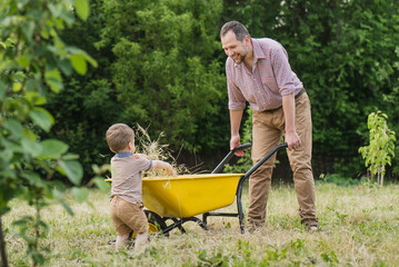 Happy little boy ride yellow wheelbarrow pushing dad in home garden on warm sunny day. Small boy 2 years old helps dad a farmer on a personal plot