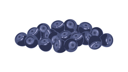 Heap of bilberry. Vector flat illustration of fresh ripe berries. 