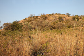 Afrikanischer Busch - Krügerpark - Mount Shabeni / African Bush - Kruger Park - Mount Shabeni /