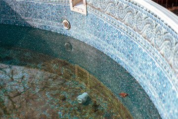 pool needs repair and care