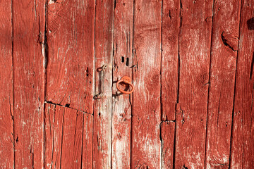 detail of the texture of an old wooden door painted red