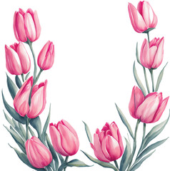 watercolor illustration of spring pink tulips frame isolated