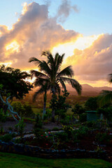 Fototapeta na wymiar Palm trees at sunset on an island 
