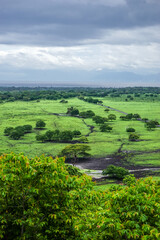 Stunning scenery around Baluran National Park, Situbondo, Indonesia