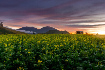 sunset in the mountains