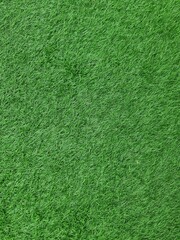 green grass pattern texture,green grass background ,top view background of grass garden, green...