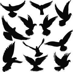 Flying birds silhouette. Dove silhouettes