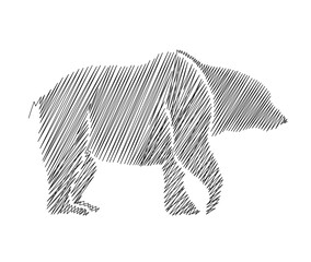 Continuous one line drawing of big bear. Bear scribble - single line art vector illustration. Editable stroke.