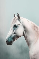 contemporary art, poster design, beautiful horse, minimalistic