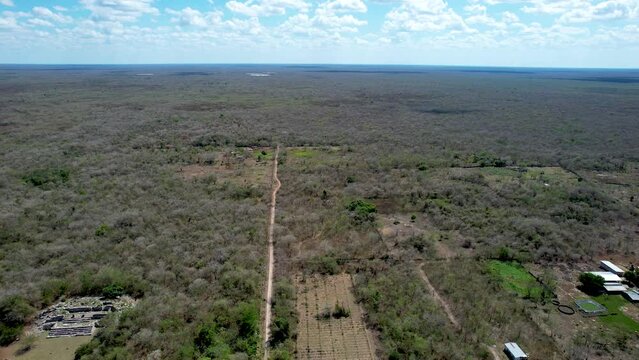 aerial shot of mayan ruins and jungle during drought