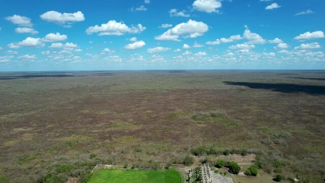 aerial shot of maya jungle and ruins at yucatan mexico