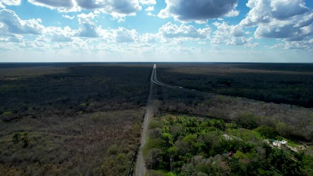 aerial shot of road at the middle of the jungle at yucatan mexico