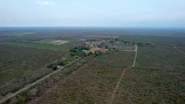 aerial shot of a huge hacienda henequenera at yucatan mexico during summer